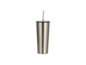 Sublimation 22oz/650ml Stainless Steel Tumbler w/ Straw (Silver)