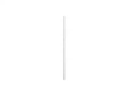 Sublimation Blank Reusable Stainless Steel Straw (φ1.2cm)