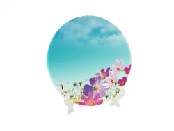 Glass Plate