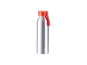 Sublimation Blanks 22oz/650ml Portable Sports Slim Aluminum bottle With Red Cap(Silver)