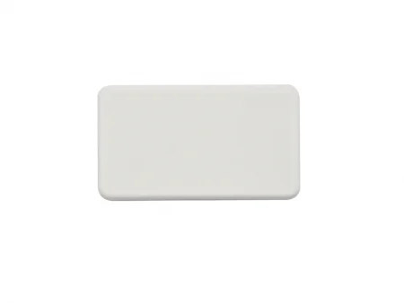 Sublimation Plastic Domino